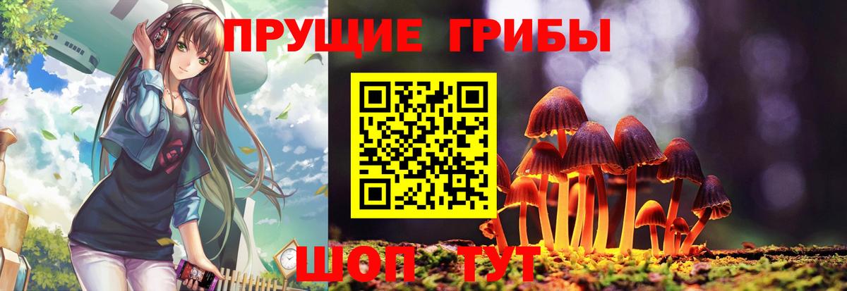 Псилоцибиновые грибы прущие грибы  Вход с VPN  Галлюциногенные грибы MAGIC MUSHROOMS  Северск 